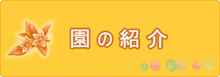 園の紹介