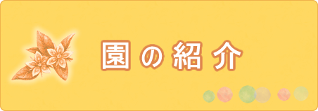 園の紹介