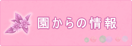 おたより