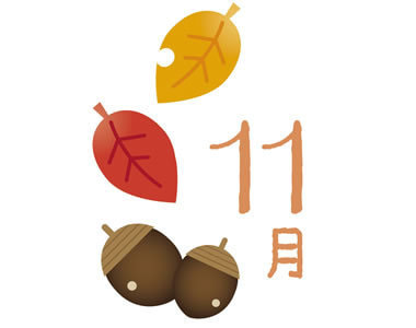 11月